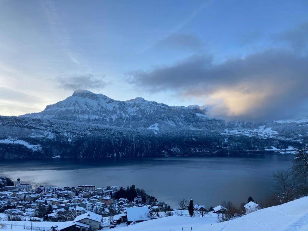 Ferienwohnungen Mit 4 Betten In Gersau Direkt Am Vierwaldstaettersee Exteriör bild