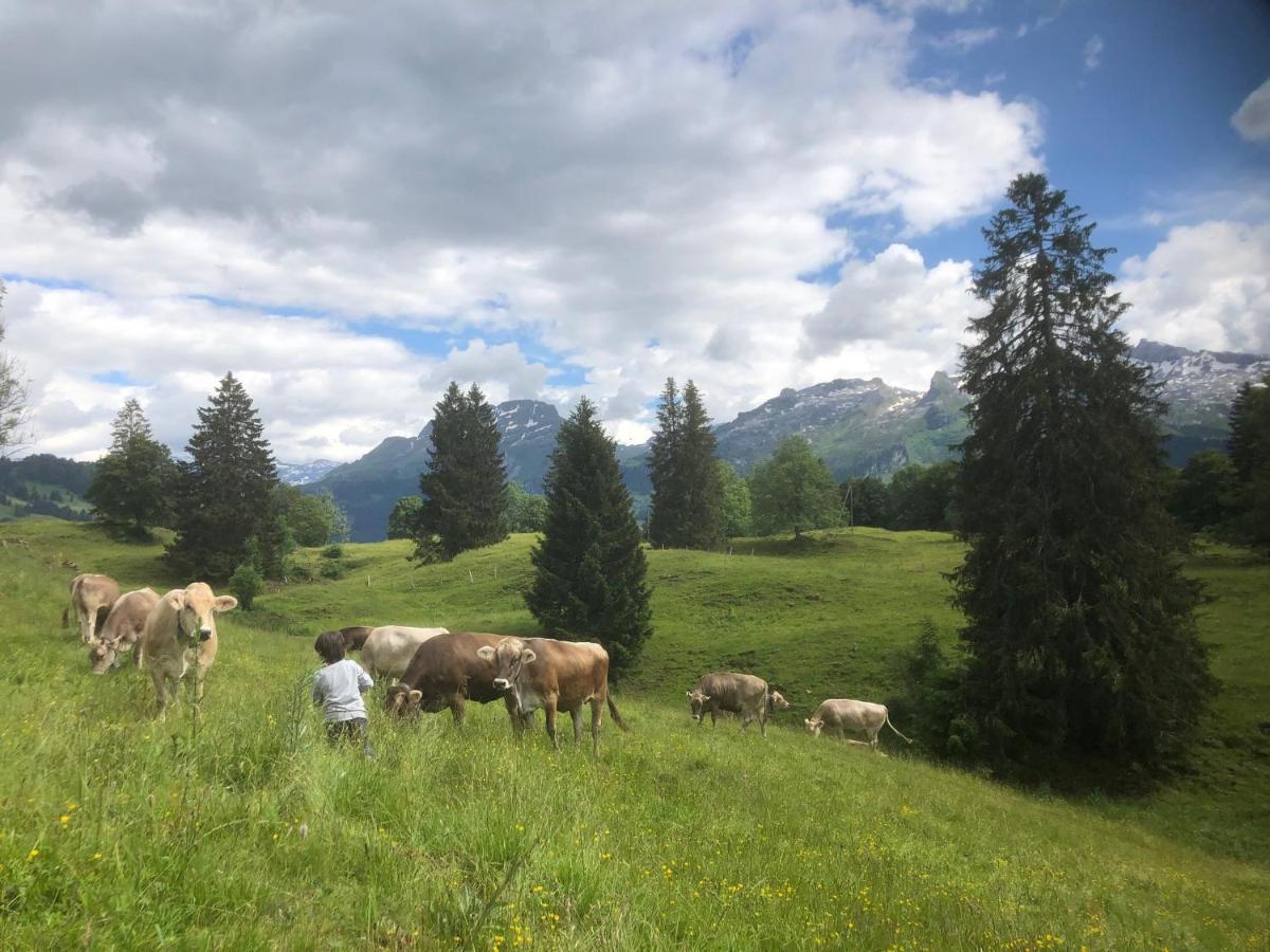 Ferienwohnungen Mit 4 Betten In Gersau Direkt Am Vierwaldstaettersee Exteriör bild