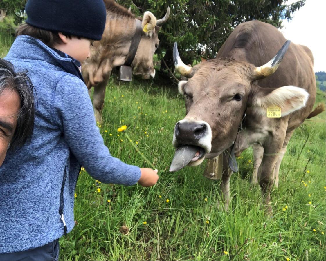 Ferienwohnungen Mit 4 Betten In Gersau Direkt Am Vierwaldstaettersee Exteriör bild