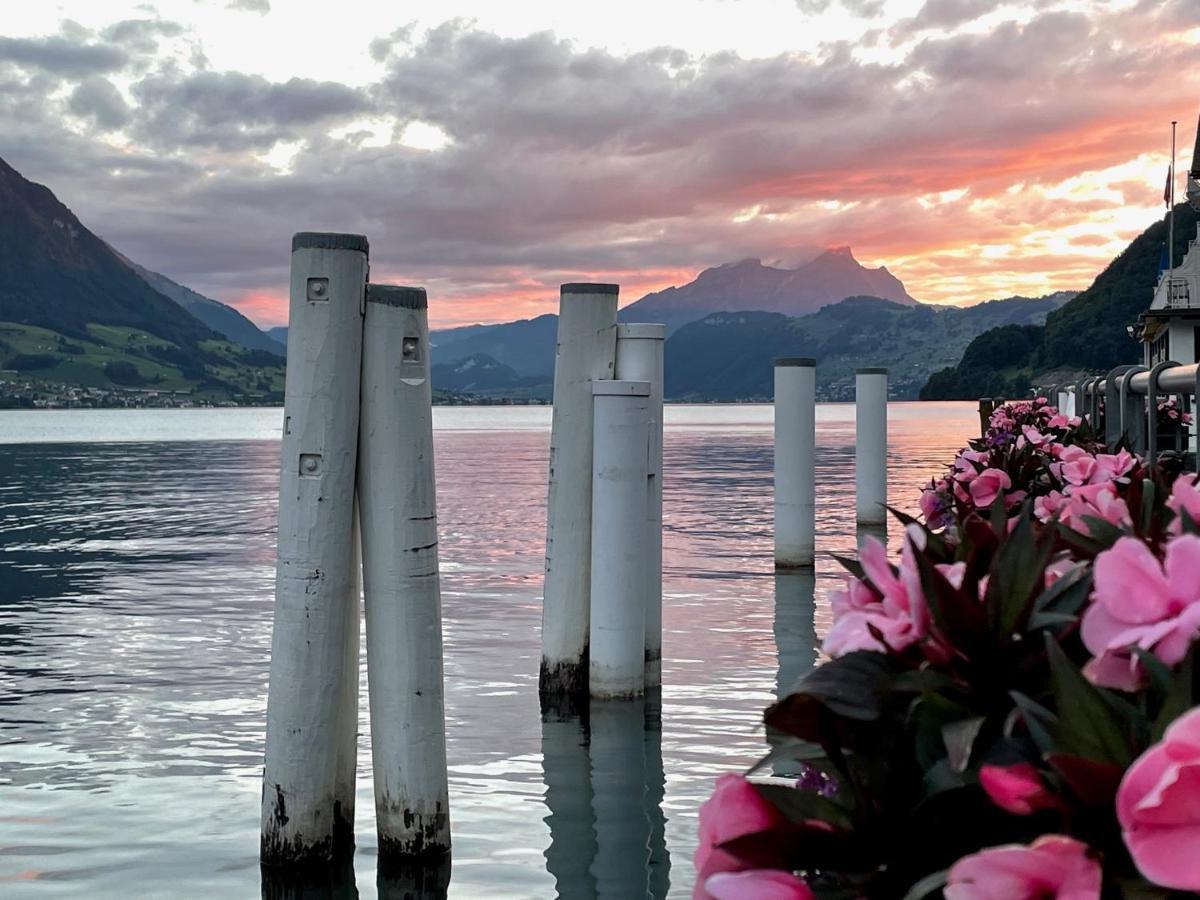 Ferienwohnungen Mit 4 Betten In Gersau Direkt Am Vierwaldstaettersee Exteriör bild